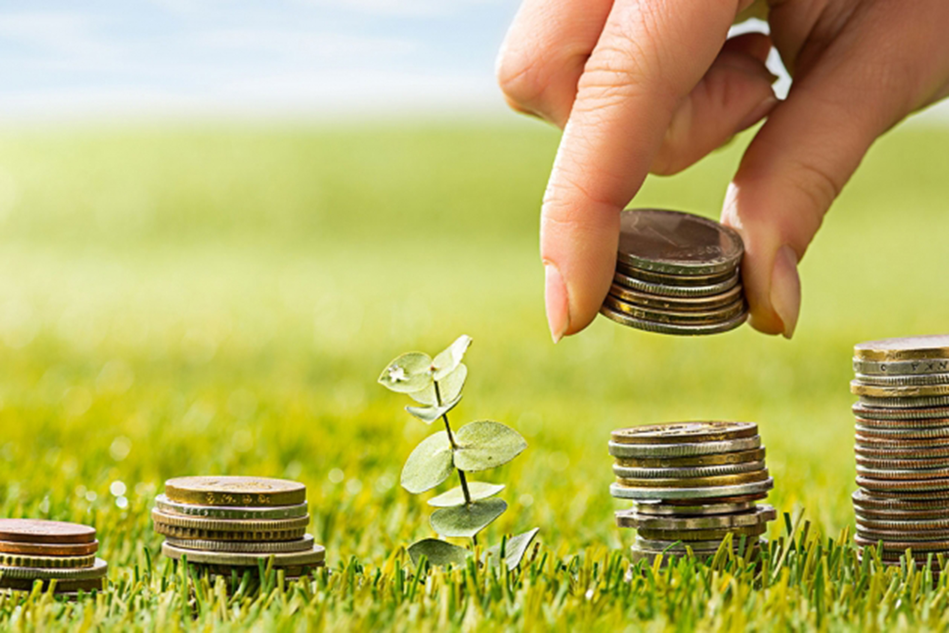 Arsa ve Tarla Yatırımında Gerçek Kazanç Ne Zaman Gelir?